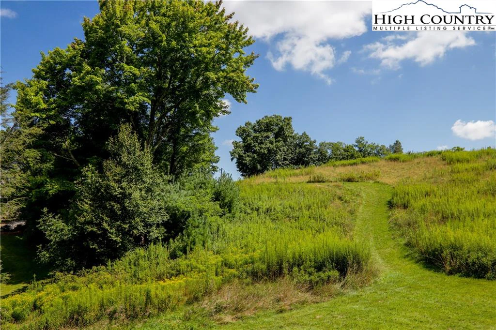 Image number 3 for the current listing
