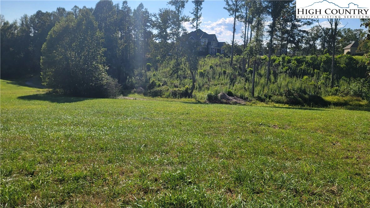 Image number 1 for the current listing