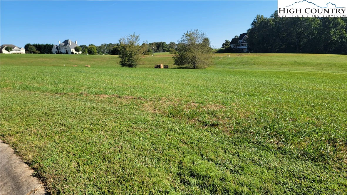 Image number 1 for the current listing