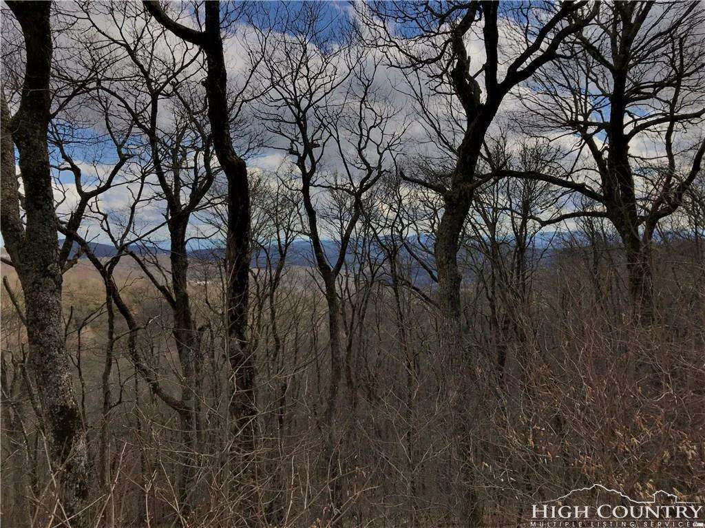 Image number 1 for the current listing