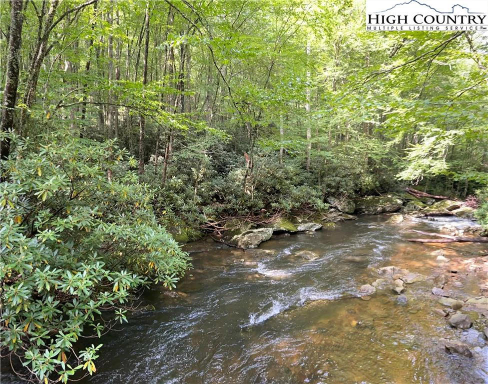 Image number 12 for the current listing