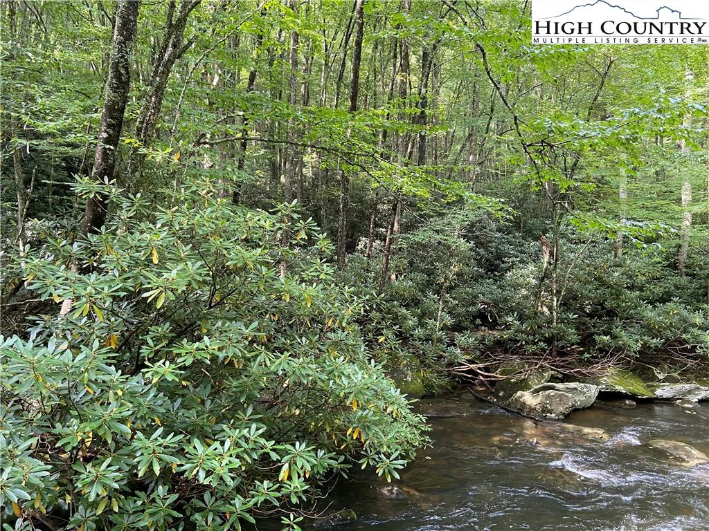 Image number 3 for the current listing