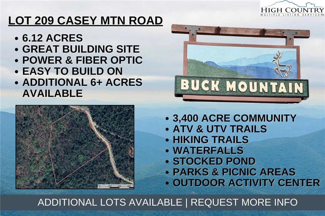 Image number 1 for the current listing