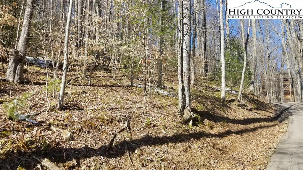 Image number 5 for the current listing