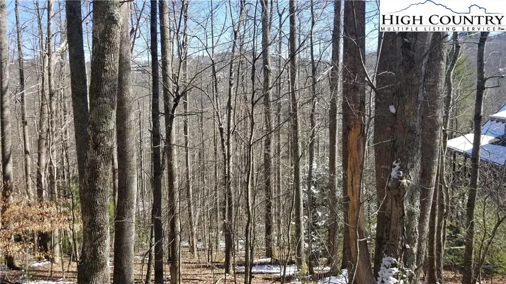 Image number 8 for the current listing