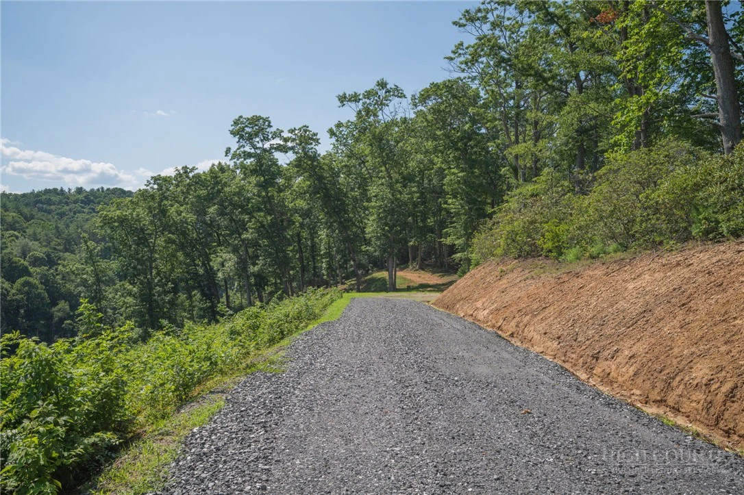 Image number 12 for the current listing