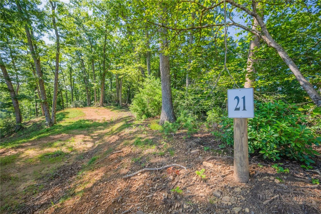 Image number 13 for the current listing