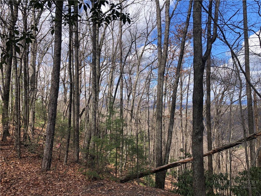 Image number 1 for the current listing