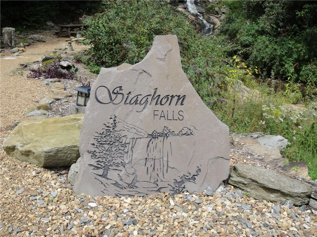 Image number 14 for the current listing