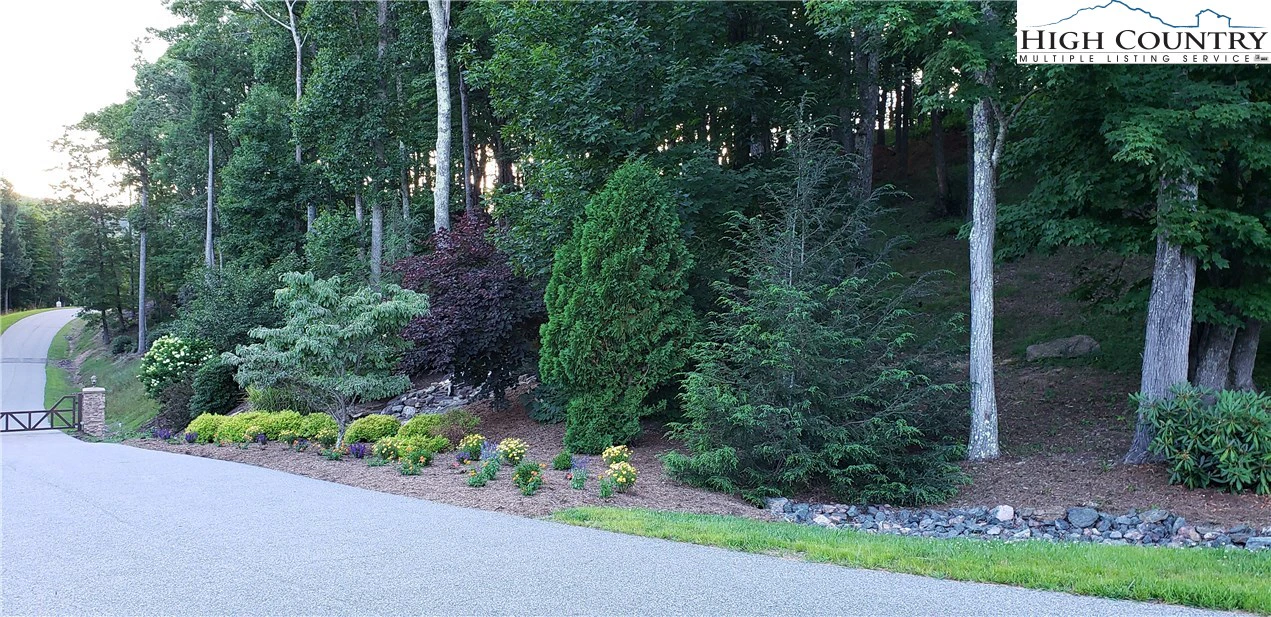 Image number 19 for the current listing