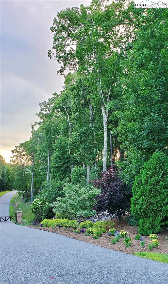 Image number 18 for the current listing