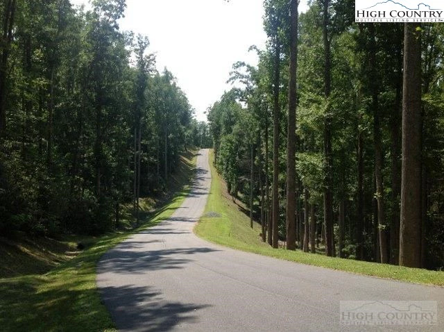 Image number 13 for the current listing