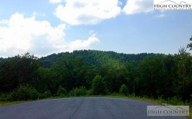 Image number 10 for the current listing