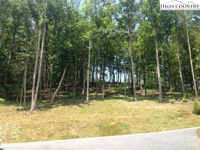 Image number 4 for the current listing