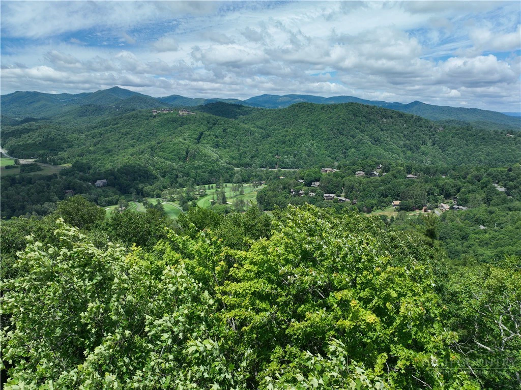 Image number 2 for the current listing