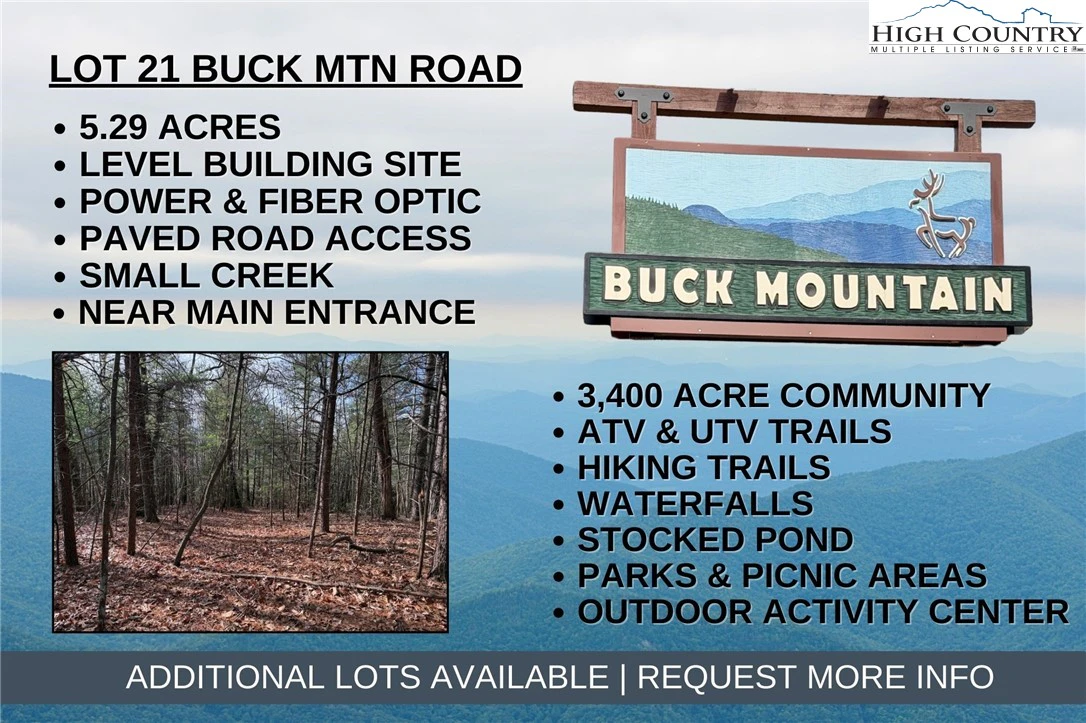 Image number 1 for the current listing