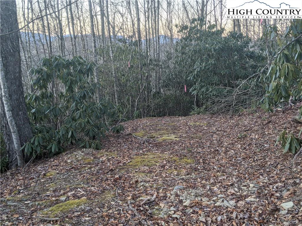 Image number 12 for the current listing