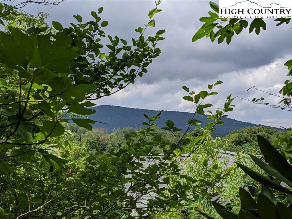 Image number 9 for the current listing