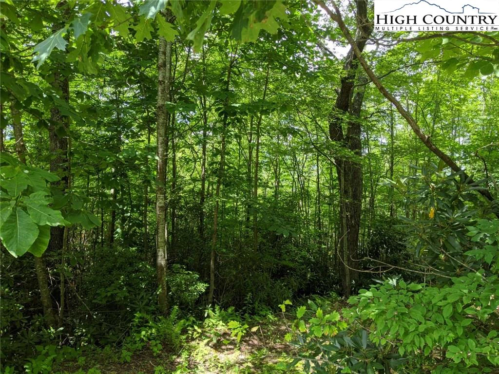 Image number 7 for the current listing
