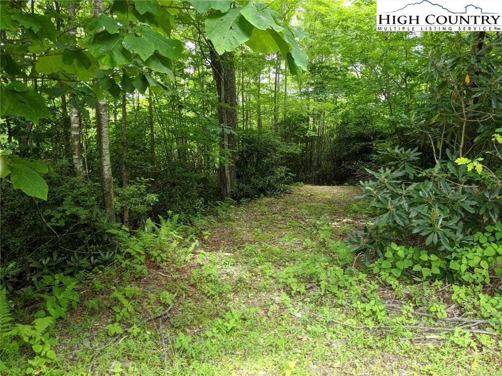 Image number 18 for the current listing