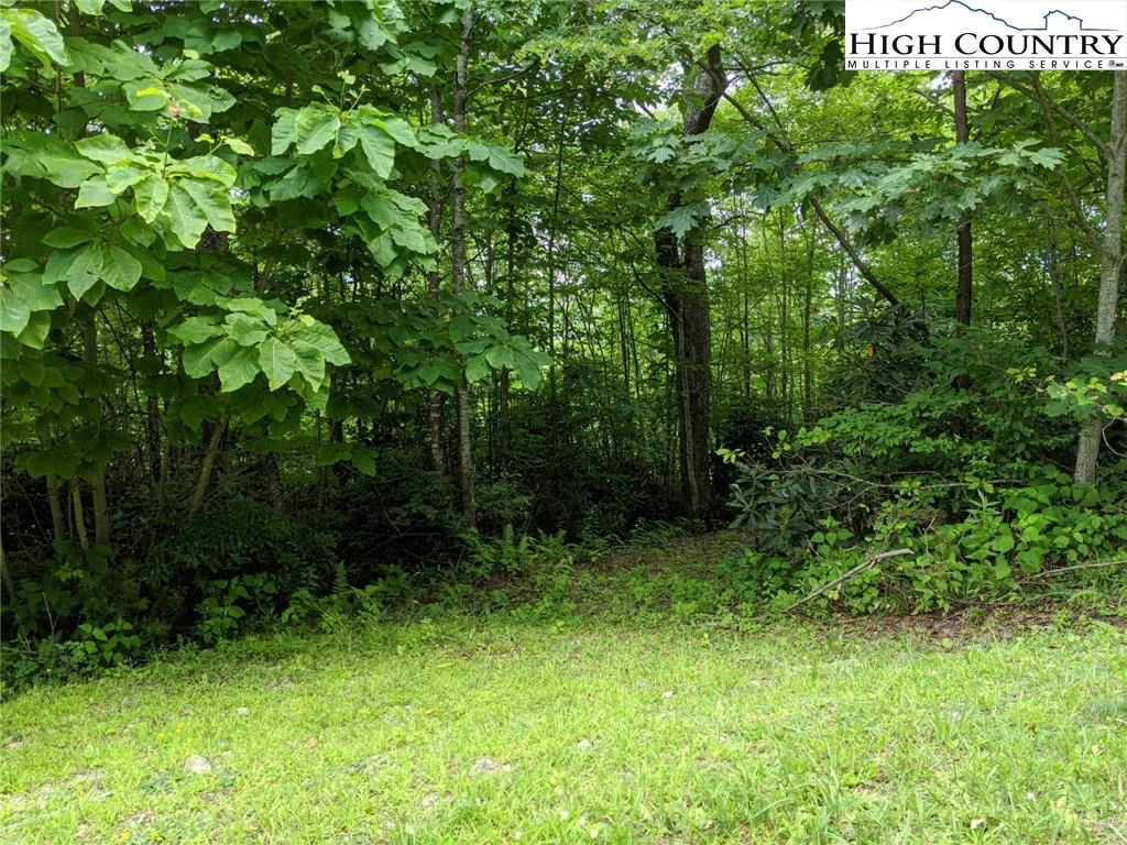 Image number 17 for the current listing