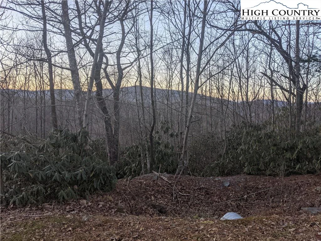 Image number 16 for the current listing