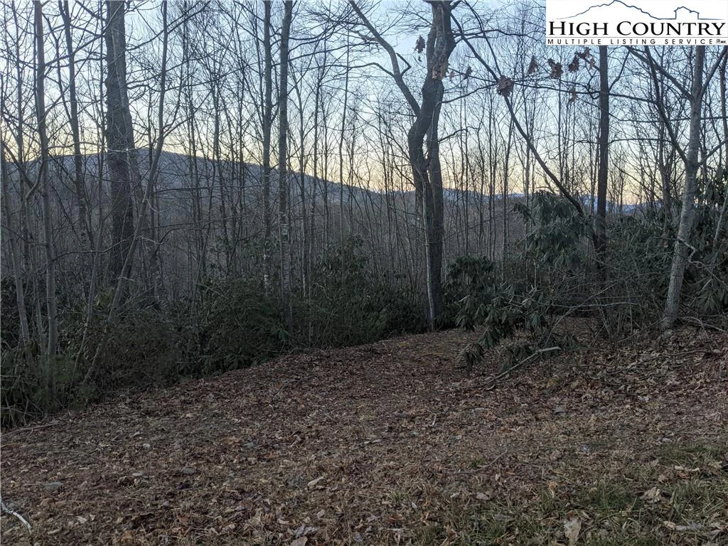 Image number 14 for the current listing