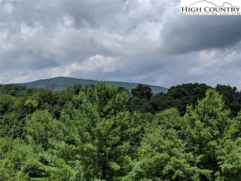 Image number 13 for the current listing