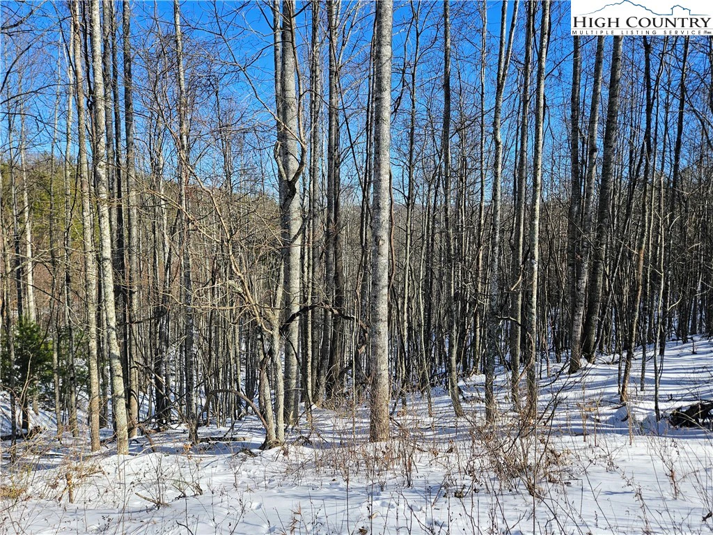 Image number 8 for the current listing