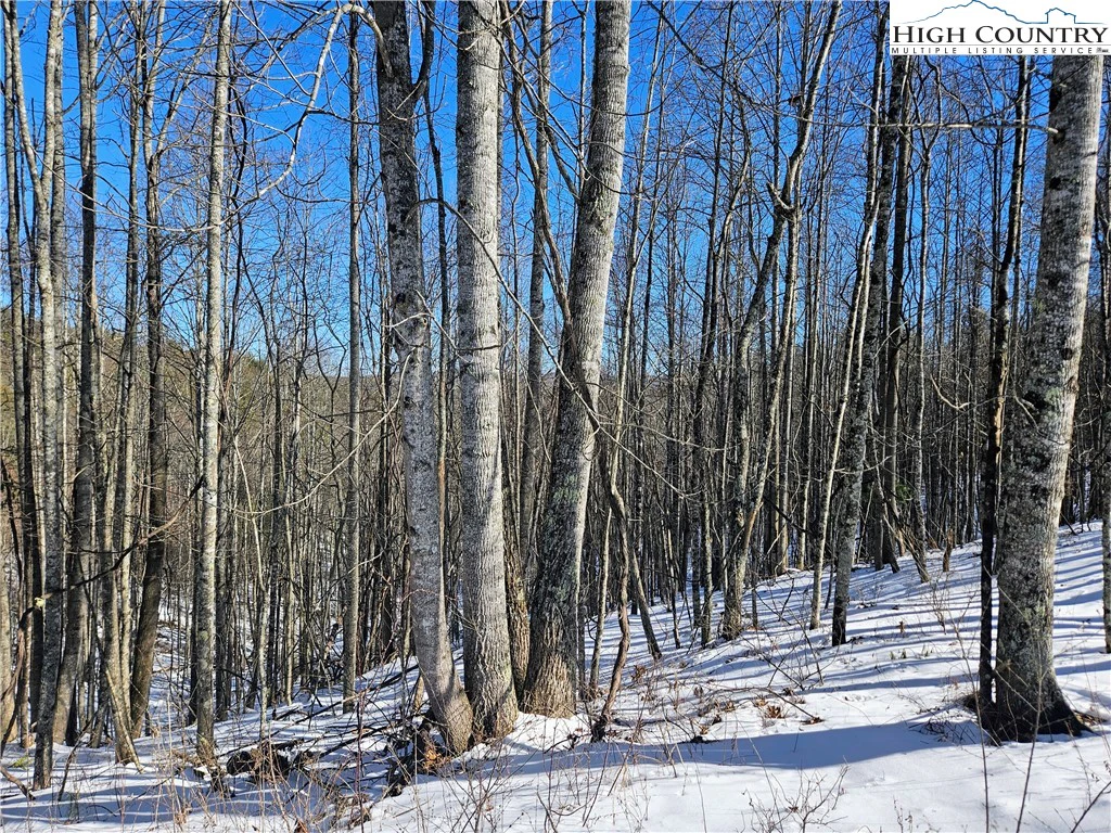 Image number 9 for the current listing