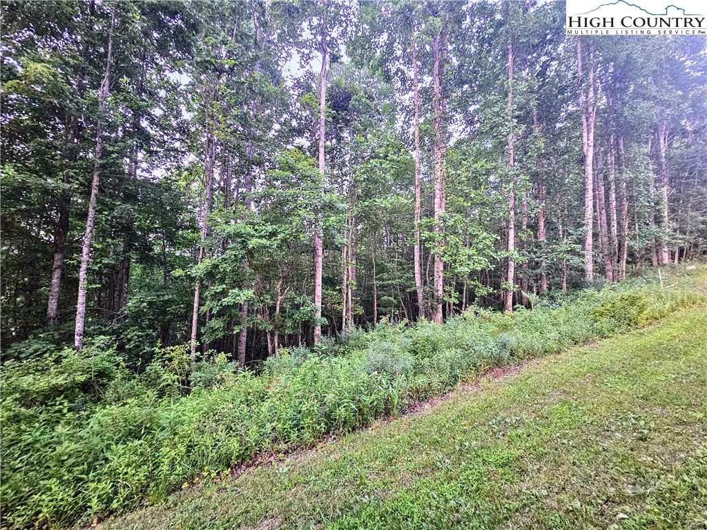 Image number 3 for the current listing