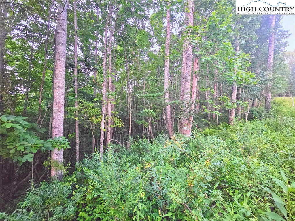 Image number 4 for the current listing
