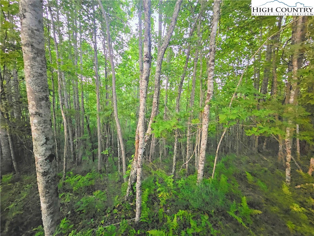 Image number 5 for the current listing