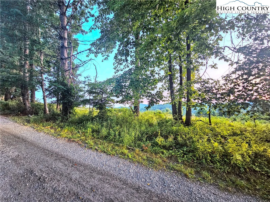 Image number 7 for the current listing