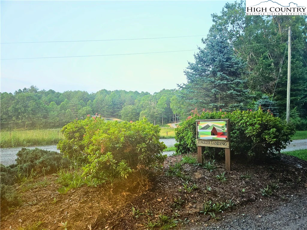 Image number 10 for the current listing