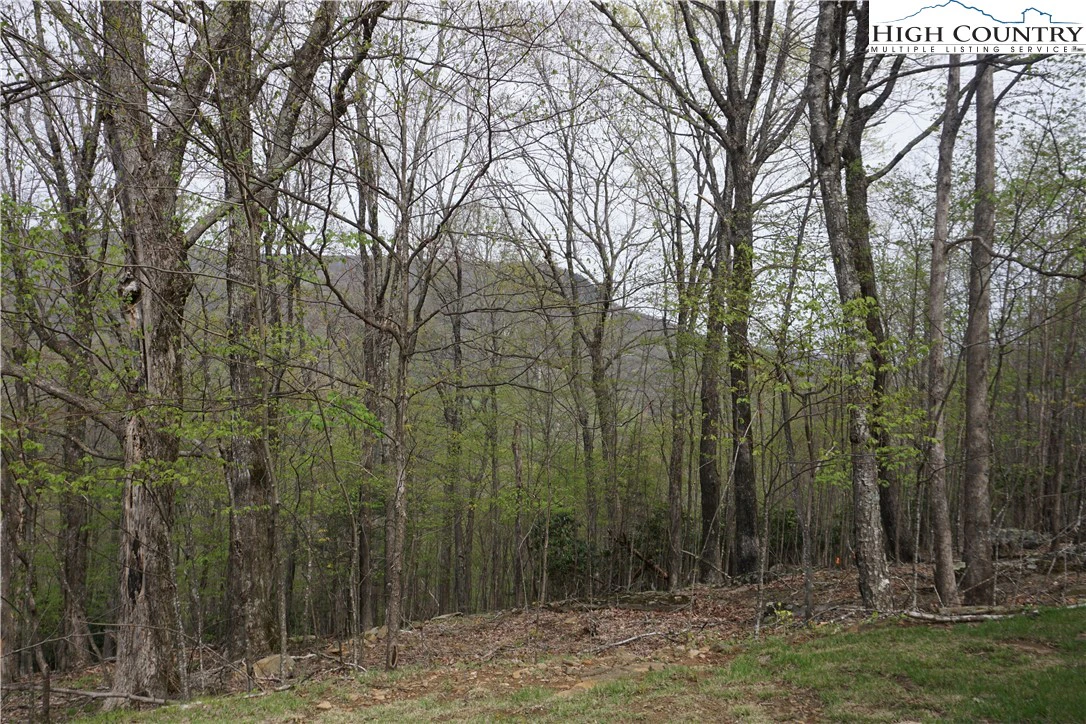 Image number 6 for the current listing