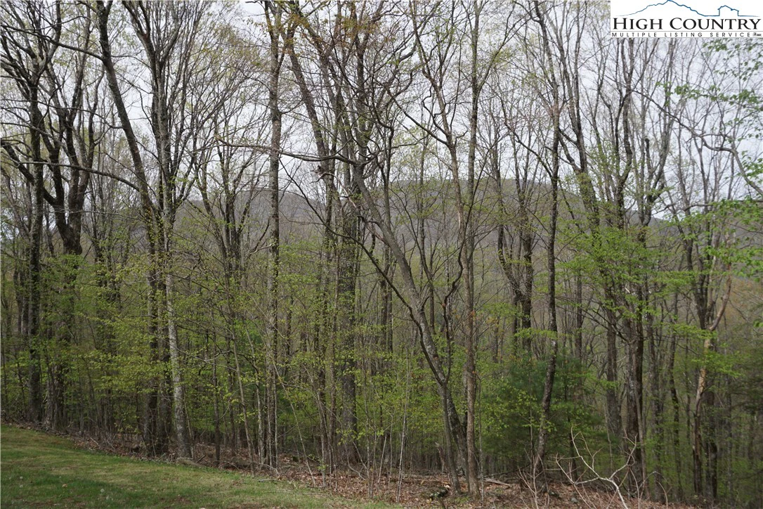 Image number 5 for the current listing
