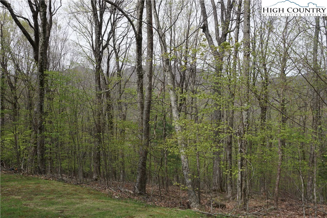 Image number 4 for the current listing