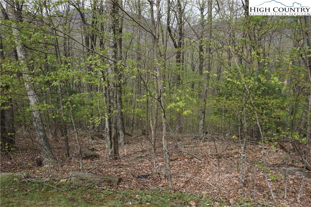 Image number 3 for the current listing
