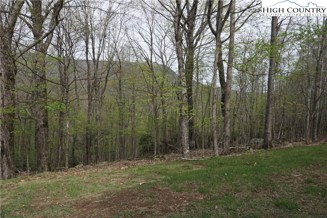 Image number 1 for the current listing