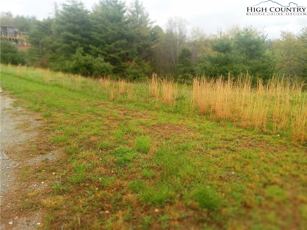 Image number 1 for the current listing