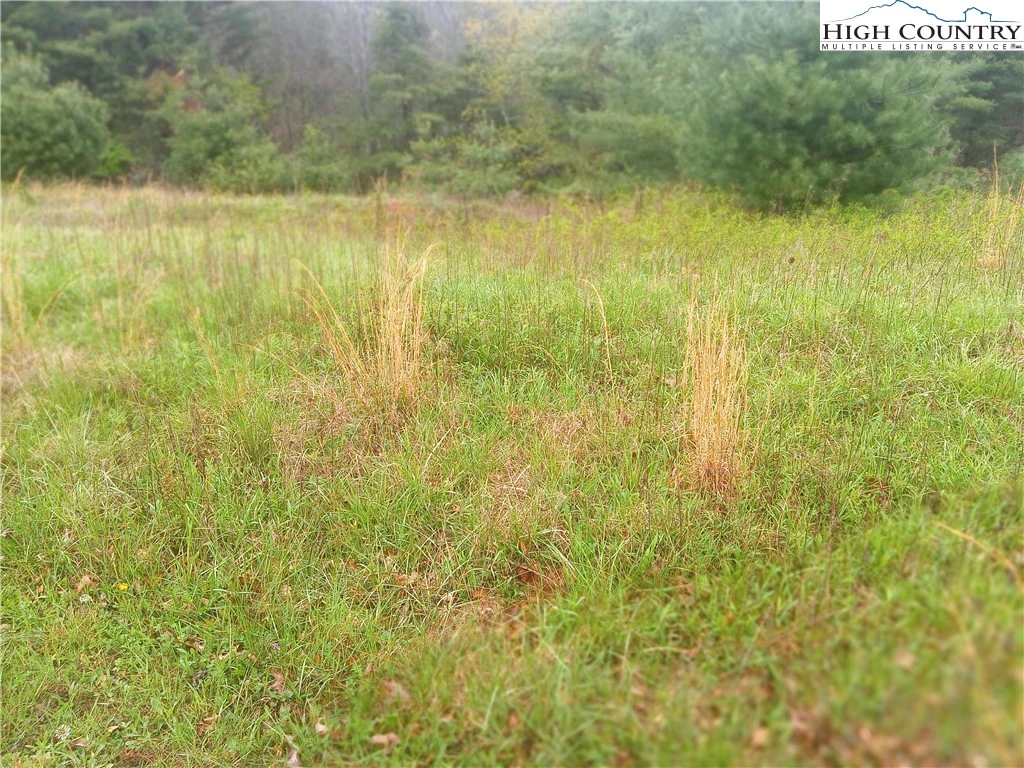 Image number 3 for the current listing