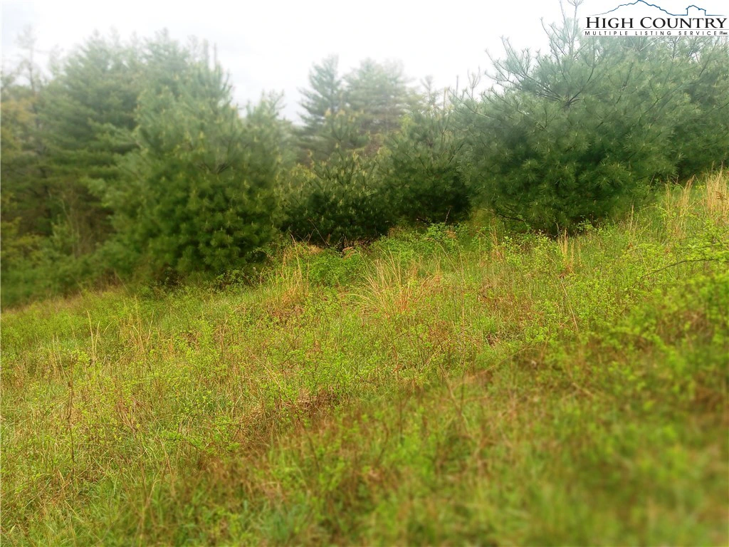 Image number 5 for the current listing