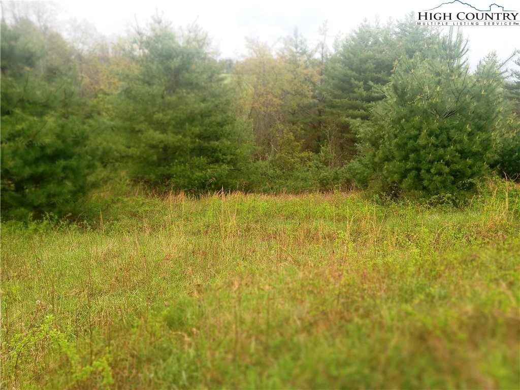 Image number 6 for the current listing