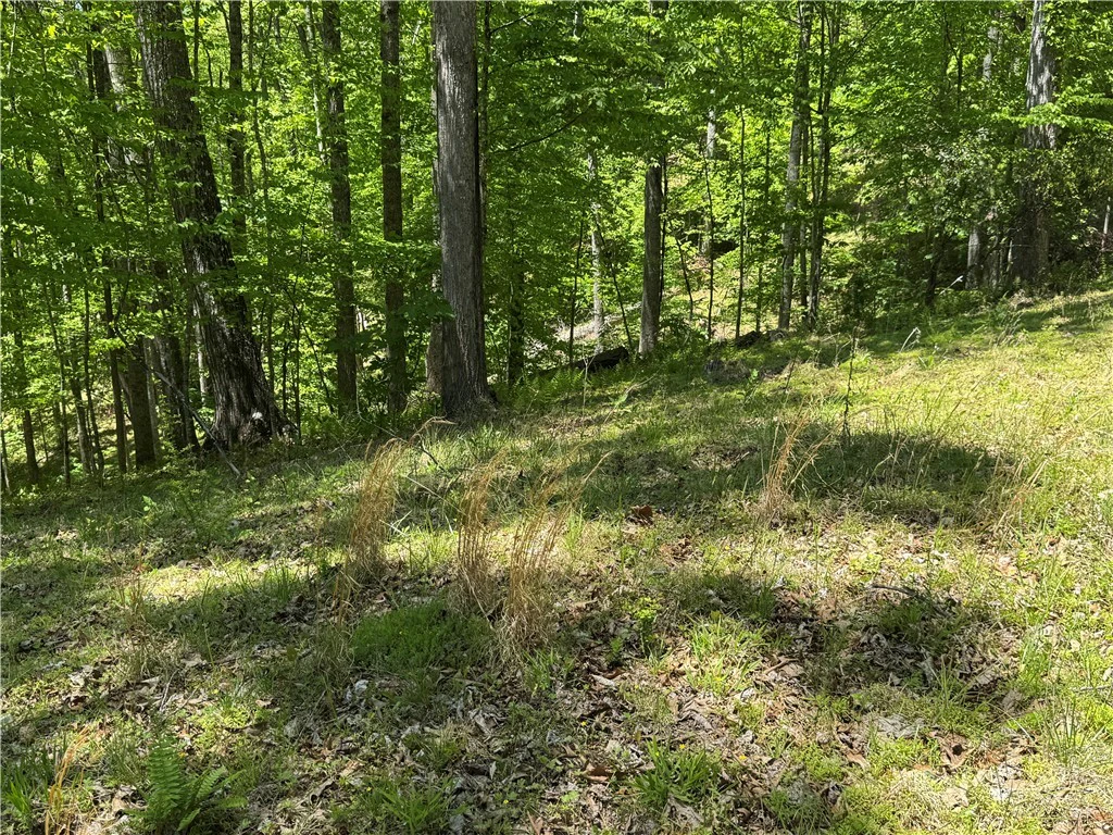 Image number 5 for the current listing