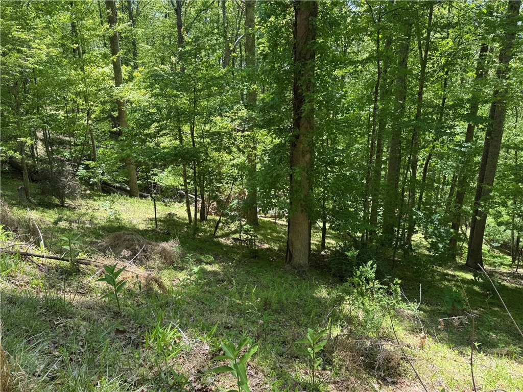 Image number 7 for the current listing