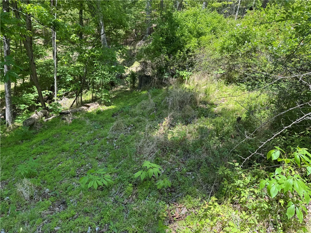 Image number 8 for the current listing