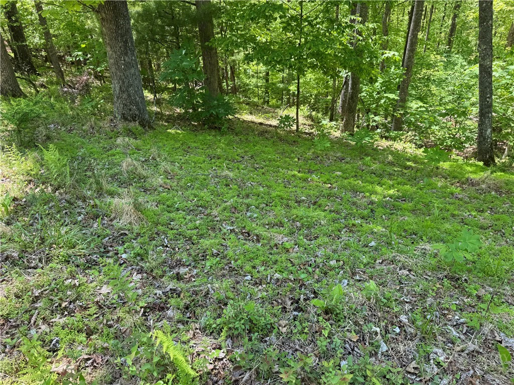 Image number 9 for the current listing