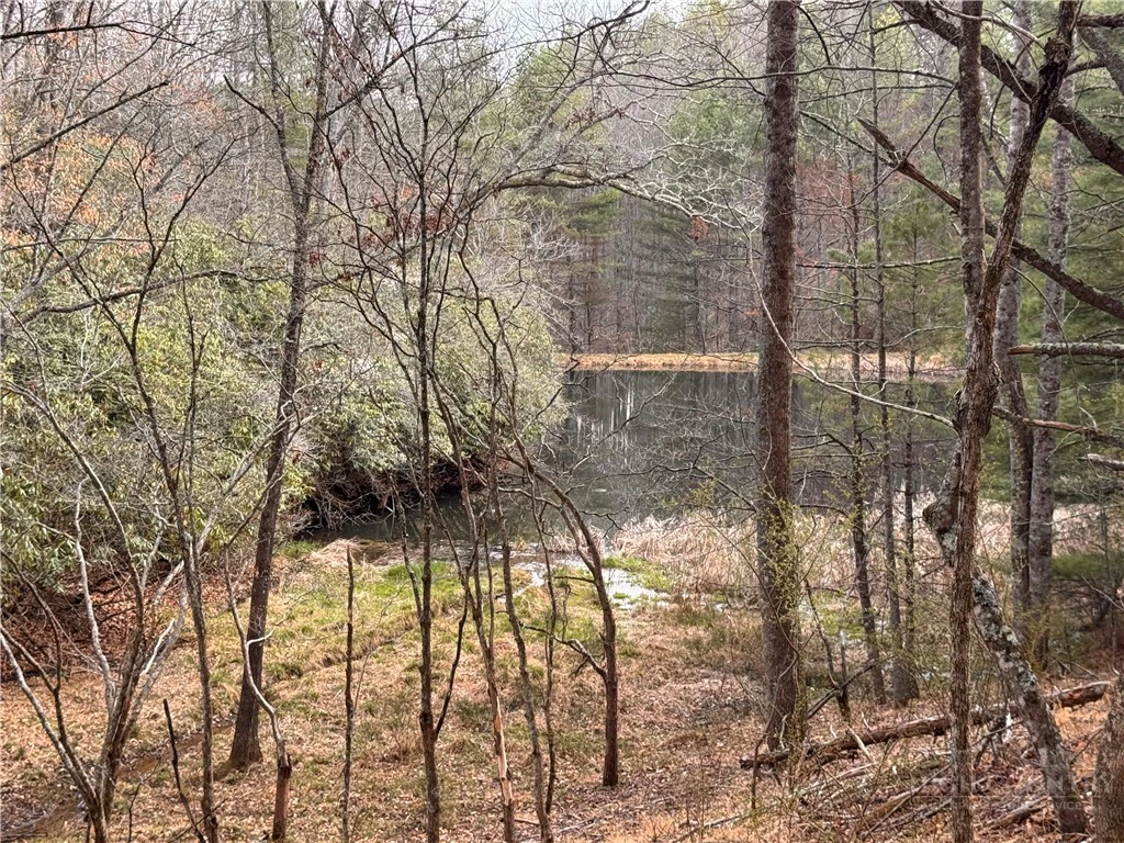 Image number 12 for the current listing