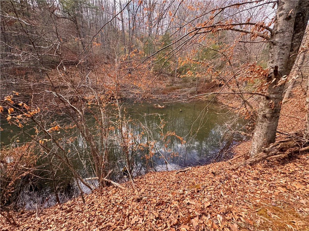 Image number 13 for the current listing